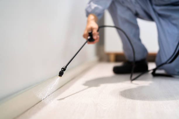 Licensed Pest Control service in Anna, OH - Show Me Pest Control