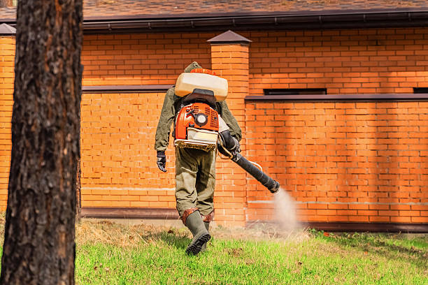 Bed Bug Clearance Verification and Documentation in Anna